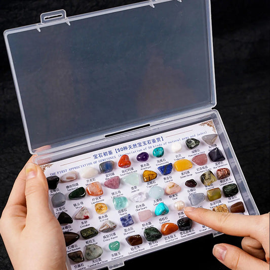 50Pcs Rocks Collection for Kids Party Favors Educational Collection Rough Stones