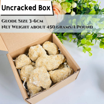 1PC/450g Morocco Geode Quartz Pack, Discover Earth's Artistic Mesmerizing Sparkling Crystal Inside, Geological Teaching